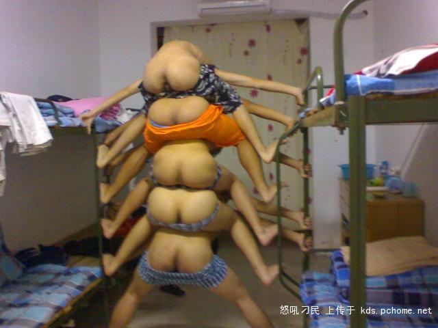 ตะขาบพันธ์ใหม่ น่ากลัวสุดๆๆ