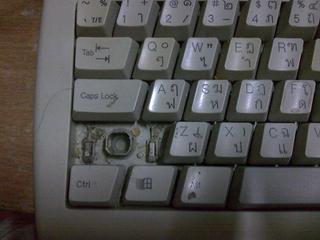 ช่วยด้วย...ชิปหายแล้ว