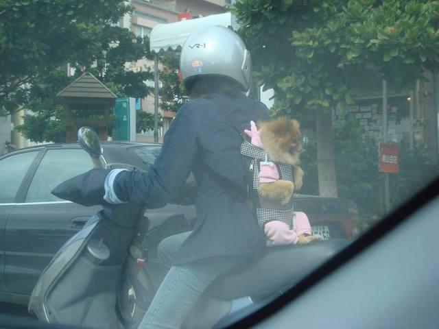 ขับรถจี้ท้ายคนอื่นระวังจะเจอแบบนี้