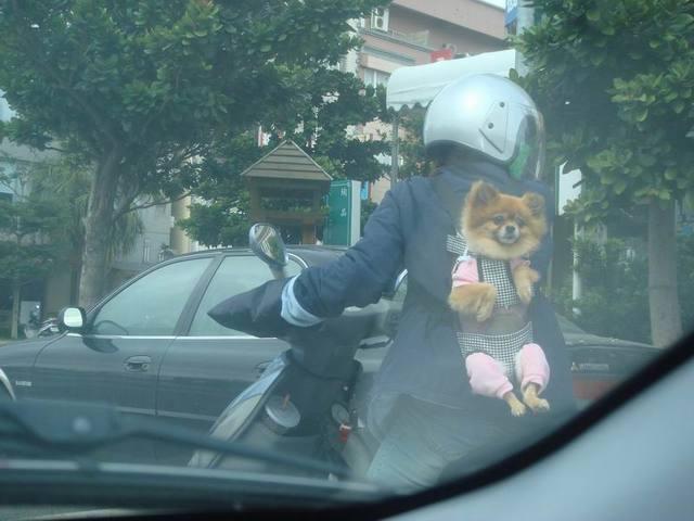 ขับรถจี้ท้ายคนอื่นระวังจะเจอแบบนี้
