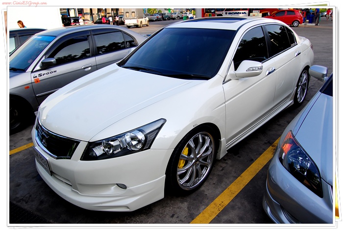 carnauba กับ polymer ต่างกันยังไง