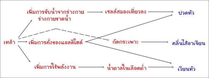 เรื่องน่ารู้ คู่สุรา