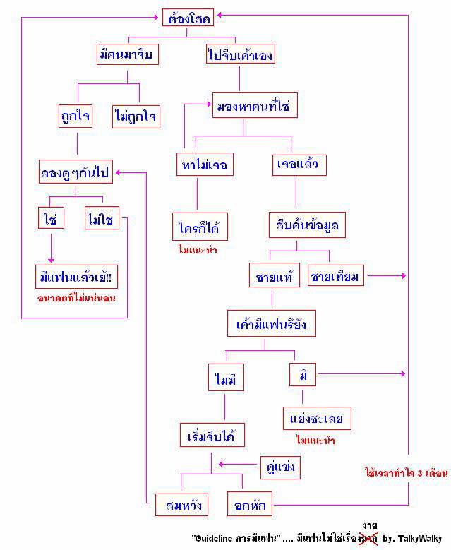 FLOW CHART สำหรับการมีแฟน  (เผื่อใครยังโสด จะได้วางแผนไว้ก่อน)