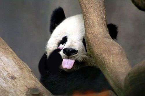 ผมหมกมุ่นเกินไปมั้ยนี้ (15+)