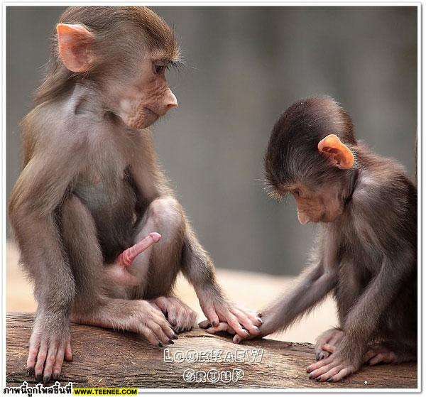 เอ่อ  ภาพนี้แถมคับ  เค้าแค่จับมือกันเฉยๆ