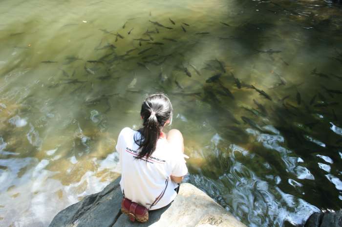 2.น้ำตกป่าละอู น้ำใสเย็น ปลาเยอะ เล่นน้ำได้