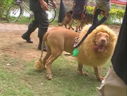 มันเปงพ่อตัวนี้หรือป่าวเนี่ย....