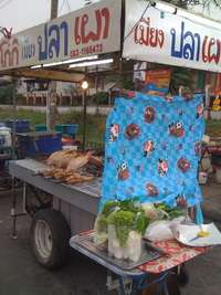 ร้านปลาเผาที่อยุธยาอร่อยมากคับ