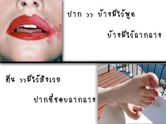 --- ขอความดี ดี มั๊ง ---