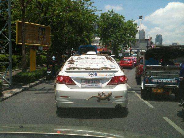camry  ออกลายใหม่