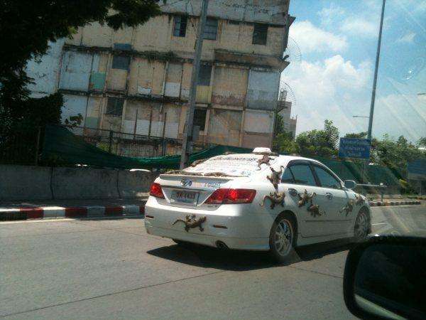 camry  ออกลายใหม่