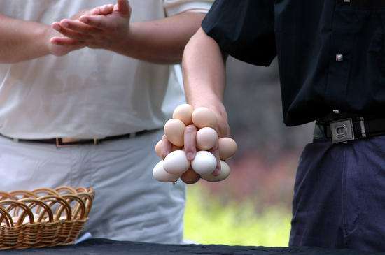 ผู้ชายเล่นไข่ เสียวซะ 18+
