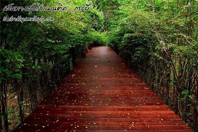 Travel in Thailand‏