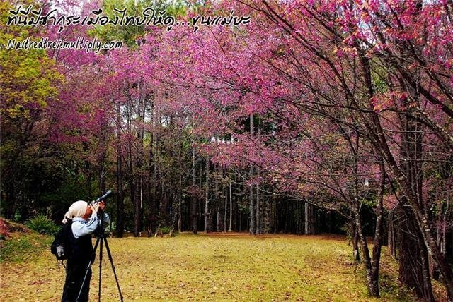 Travel in Thailand‏