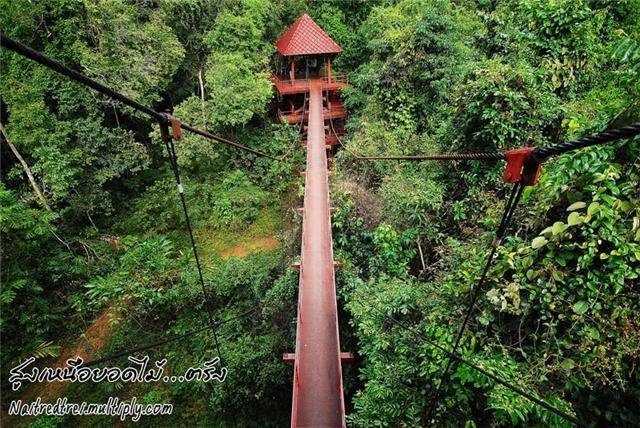 Travel in Thailand‏