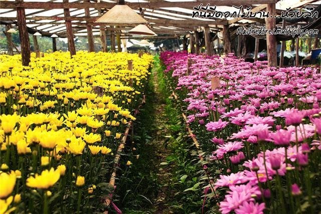 Travel in Thailand‏