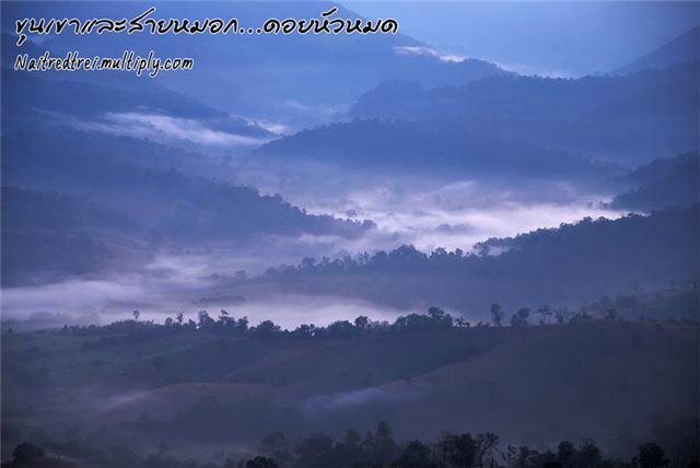 Travel in Thailand‏