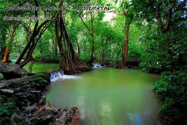 Travel in Thailand‏