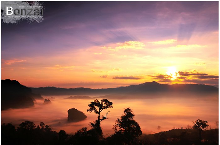 ภูลังกา จ.พะเยา

เครดิตภาพ...BONZAIpix