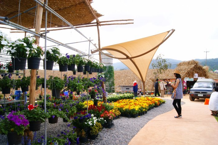 ณ.Wangnamkeaw Flora Fantasia ครับ