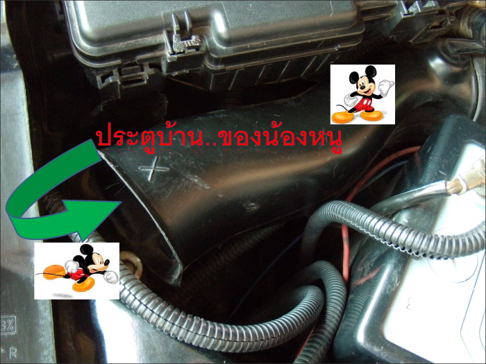 เบื่อและเซงกับ"หนู"ขึ้นห้องเครื่องรถ ทำไงดีครับ..(อยากจะร้อง!!)