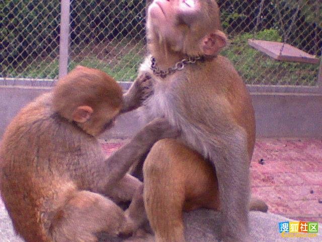 รูปเปลือยอกที่เป็นข่าวครับ รีบดูเด๋วโดนลบ