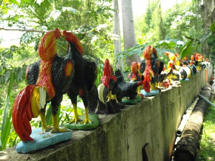 รูปปั้นไก่ชน ที่ชาวบ้านนำมาถวายพระนเรศ