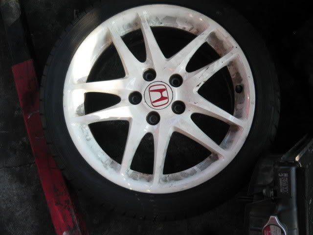 หลากหลายลวดลายล้อแม็ก กับ civic