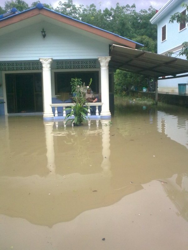 อันนี้แรกเริ่ม