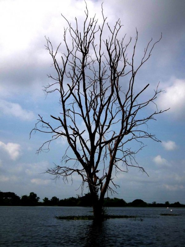 รวมภาพน้ำท่วมผ่านสื่อนอก