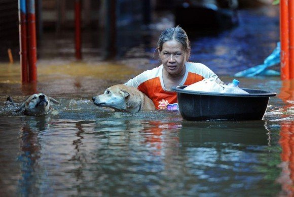 หนีน้ำท่วม แต่...เพื่อนรักต้องไปด้วย ไม่ทิ้งกัน นายรอดฉันรอด