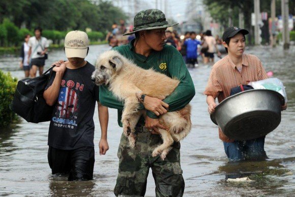 หนีน้ำท่วม แต่...เพื่อนรักต้องไปด้วย ไม่ทิ้งกัน นายรอดฉันรอด