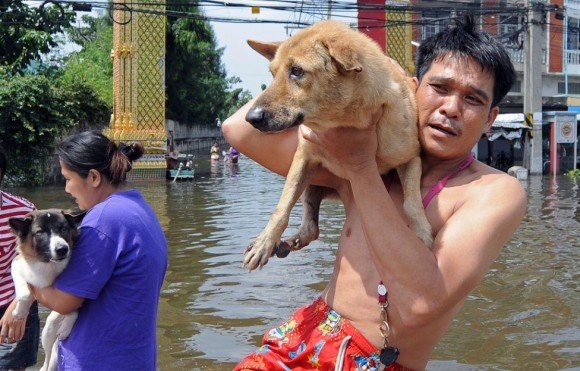 หนีน้ำท่วม แต่...เพื่อนรักต้องไปด้วย ไม่ทิ้งกัน นายรอดฉันรอด