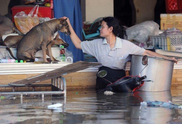 หนีน้ำท่วม แต่...เพื่อนรักต้องไปด้วย ไม่ทิ้งกัน นายรอดฉันรอด