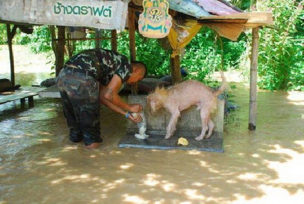 ประมวลภาพน้ำท่วมไทย หลากหลายมุม ครั้งหนึ่งในชีวิต