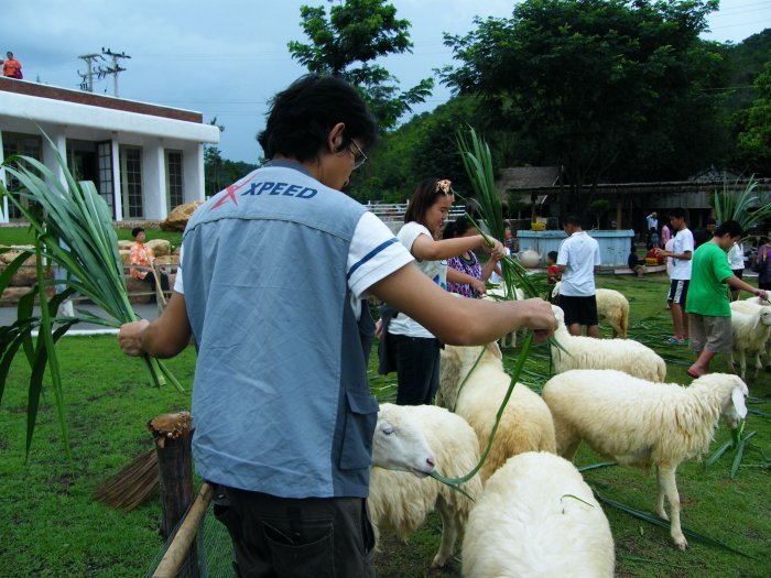 รบกวนสอบถาม แนะนำ ที่พัก ราชบุรี...