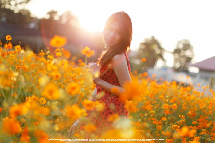 ไปเที่ยวเชียงใหม่มา เลยเก็บภาพสวยๆ มากฝากครับ