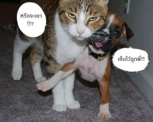 ช่วงนี้ อารมณ์ไม่ดีเหมือนหน้าตานะคะ ขอบอก 5555555+