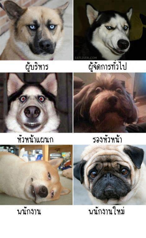 คนที่ทำงานท่านเป็นแบบนี้กันมั่งป่าว