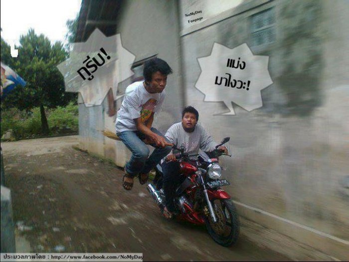 เด็กฮอกวอร์ท เมืองไทย