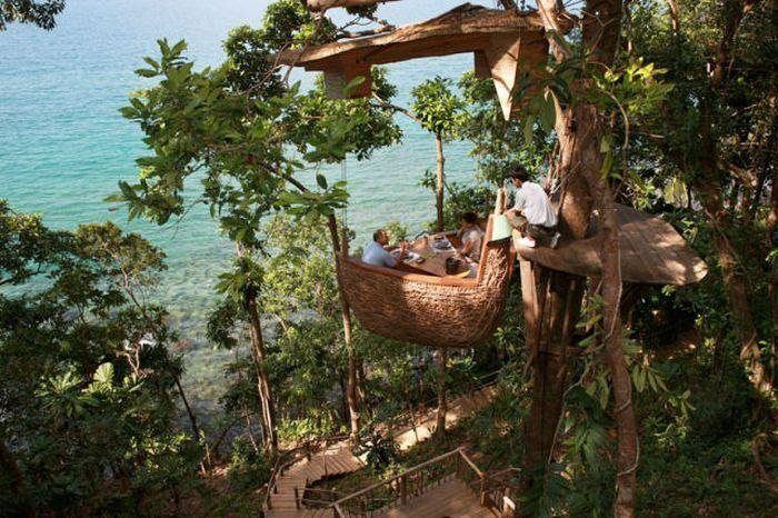 ร้านอาหารแบบทาร์ซานครับ  อยู่ในประเทศไทยนี่แหละครับ