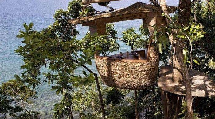 ร้านอาหารแบบทาร์ซานครับ  อยู่ในประเทศไทยนี่แหละครับ