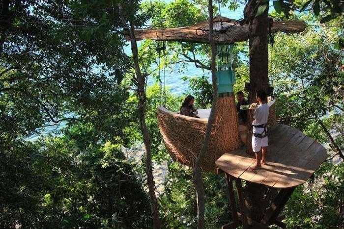 ร้านอาหารแบบทาร์ซานครับ  อยู่ในประเทศไทยนี่แหละครับ