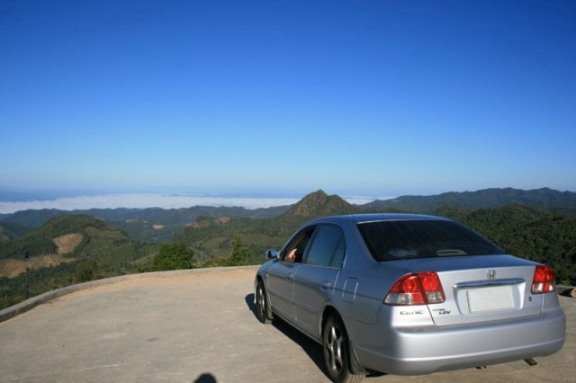 back view