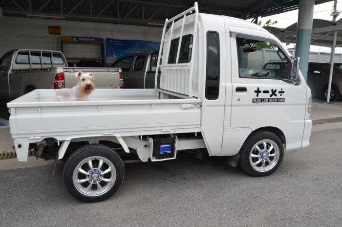 ตะลึง! F1 คว่ำไม่เป็นท่า