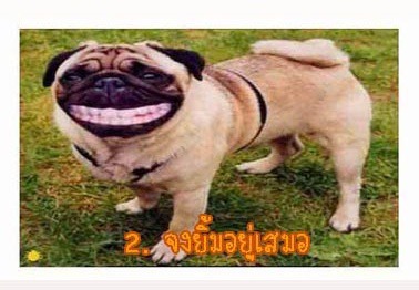 ยิ้มบ้างไรบ้างครับ