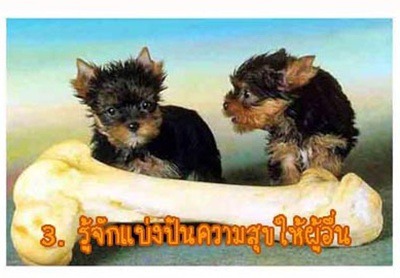 ยิ้มบ้างไรบ้างครับ