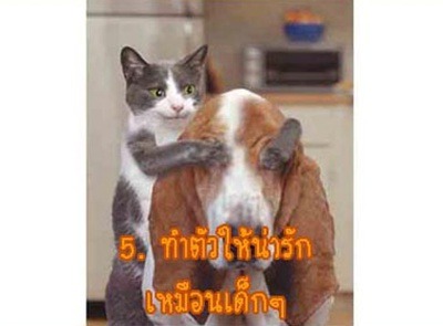 ยิ้มบ้างไรบ้างครับ