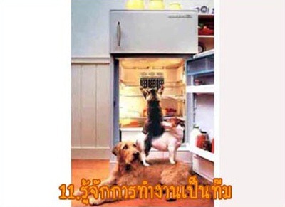 ขำๆ