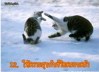 ขำๆ